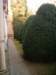 hpim2381_small.jpg
