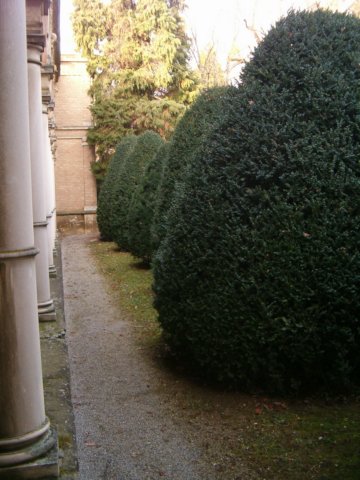 hpim2382.jpg