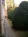 hpim2382_small.jpg