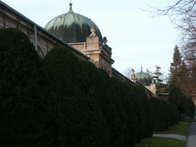 hpim2388.jpg