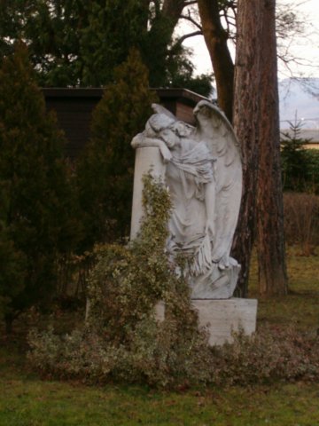 hpim2400.jpg